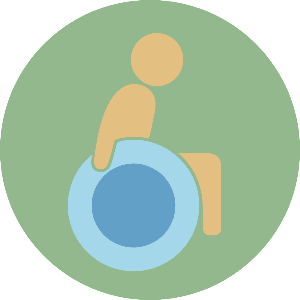 Disability Assistance icon